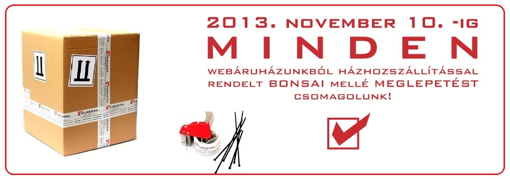 bonsai rendelese hazhozszallitasa bonsai webshoprol internetes bonsai vasarlas